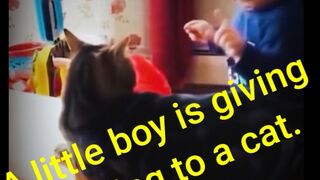 Funny video 6