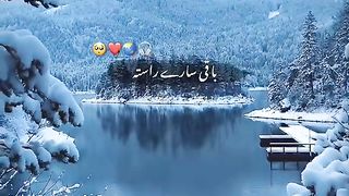 What's up stutas video