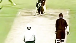 Cricket