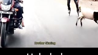 Very funny video very funny video very