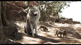 The_Jungle_Book_(2023) # Sherekhan_Kill_Akela_Scene New Animated