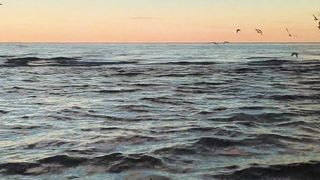 calm sunset video  for rest
