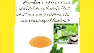 Papermint benefits