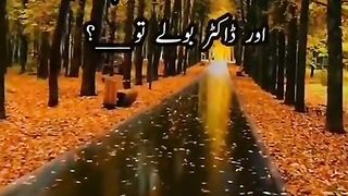 Ajeeb lafz  Hai sorry Insan bole to jhagada khatm doctor bole to Jindagi khatm