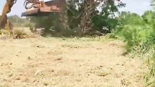 amazing machune