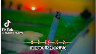 Saraiki status