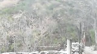 مسجد محمود غزنوی