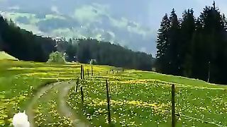 A bird told me that you miss spring pictures from Switzerland. So enjoy a few warm impressions!