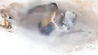 MOTHER LOVE 1