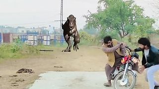 Funny magic video