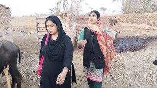 Shazia ne aj Mari madat ki