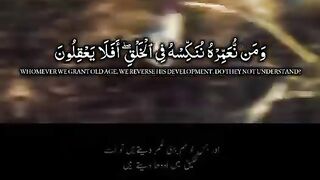 صبح کا آغاز تلاوت قرآن کریم کے ساتھ