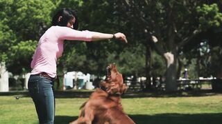 Funny dog