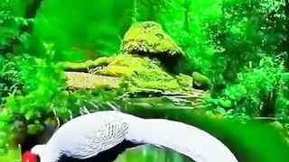 Green world,