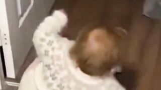 Funny Animal Videos 2023  Funniest Cats And Dogs Video