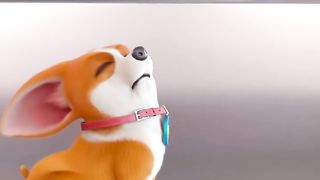 Doggy Par Aafaat ????❣️ @mocoaifay #shorts #comedy