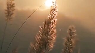 Music video