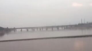 یہ اس دنیا کا بے رحم قانون ہے