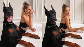 Best Like A Boss Videos