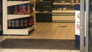 Shop lifting seagull