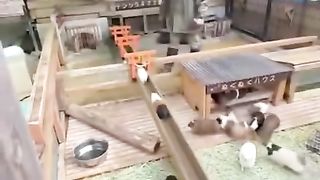 They work better than the road