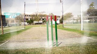 Peshawar Zalmi's Journey for #HBLPSL8 Begins