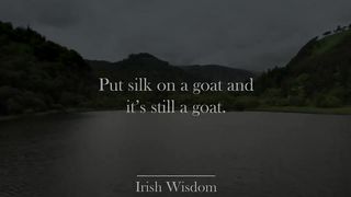 Wise quotes