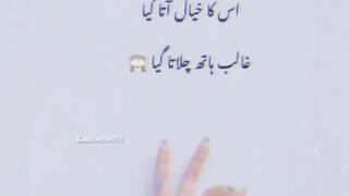 Funny videos ????