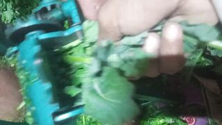 Recipe for chopping fresh greeng part6