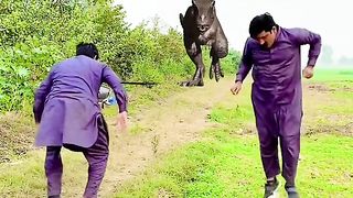 Magic