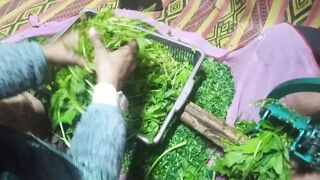 recipe for chopping fresh greeng part9