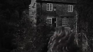 Best scenes ever caught in camera