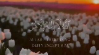 Tilawat E Quran #tilawatequran