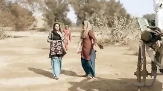 Dasi panjabi funny video