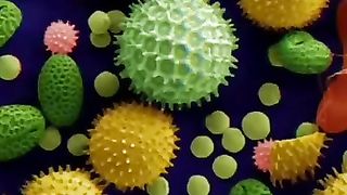 How things look under microscope -- Part 2  #shorts #ytshorts #india