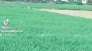 Enjoy