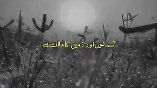 Quran verses with Urdu translation ✨❤️ #quran #islam #shorts