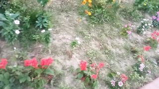 Cox's Bazar Park