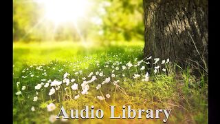 Wild Summer — WOMA - Free Background Music - Audio Library