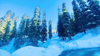 Nature Beauty In Winter Season
