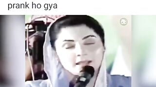 Funny politics memes