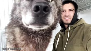 Damn Nature You Scary  Funny Scary Animal Encounters