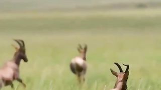 Don't want to fight for the peace ✌️