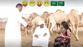 Prank Camel became Angry