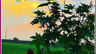 Beautiful Punjabi poetry