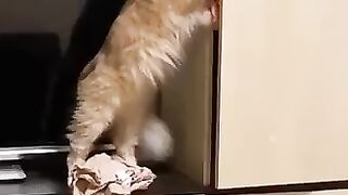 Опять надеть нечего