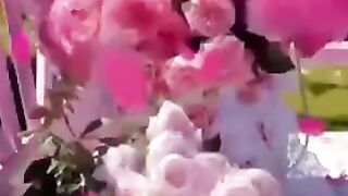 Утренняя красота.