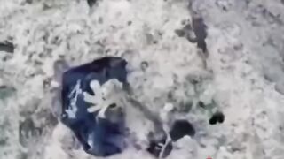 Веном существует