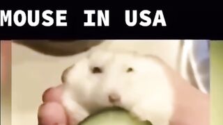 Страшно???