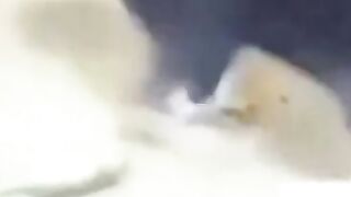 Bunaqalar hayotda ham bor ekan